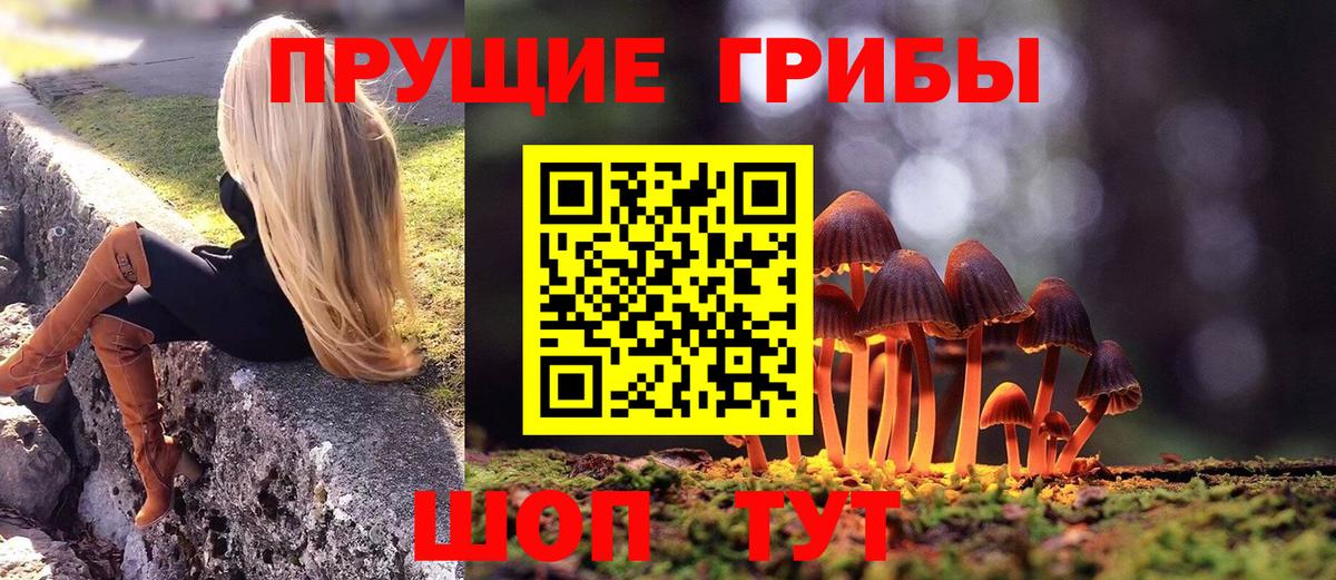 Шадринск  Галлюциногенные грибы Psilocybe  Вход с VPN 